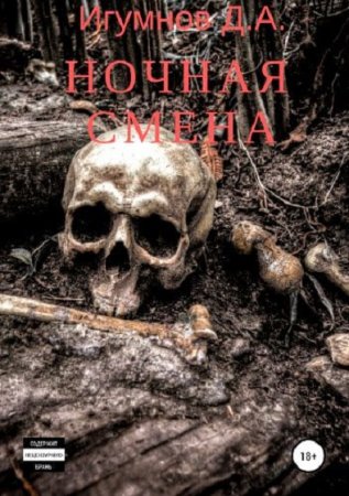 Ночная смена. Денис Игумнов