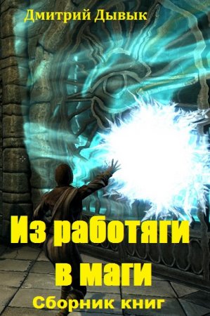 Дмитрий Дывык. Цикл - Из работяги в маги