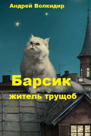 Барсик - житель трущоб. Андрей Волкидир