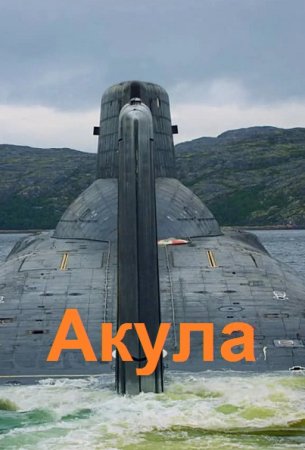 Акула. Георгий Лопатин