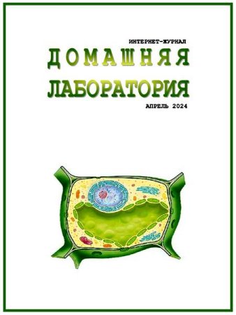 Журнал - Домашняя лаборатория №4-5 (апрель-май 2025)