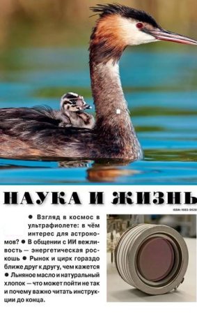 Журнал - Наука и жизнь №5-8 (май-август 2025)